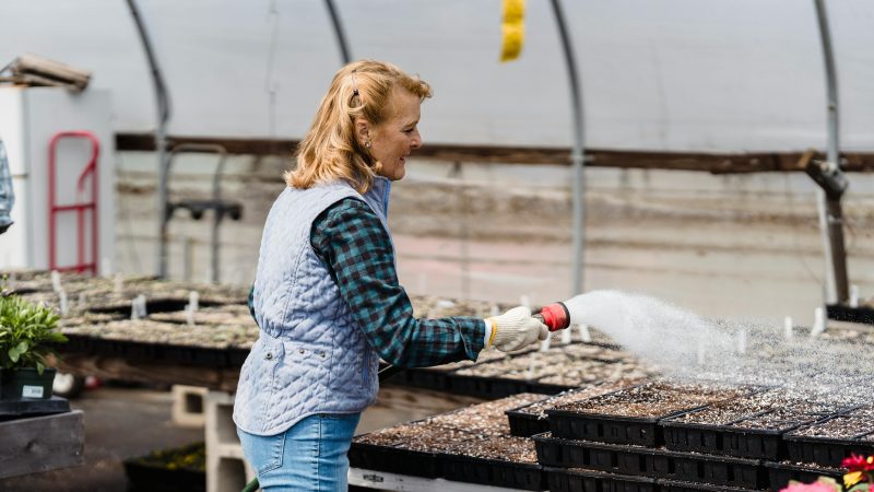 Lady watering plants