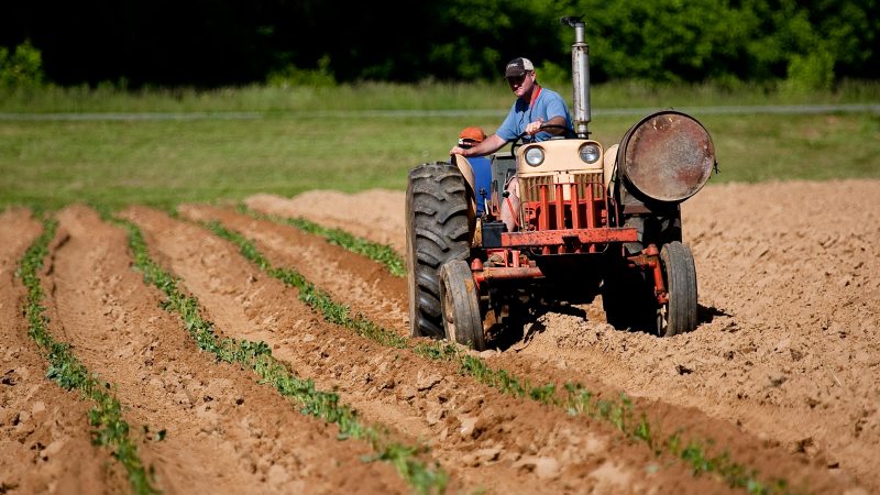 Tractor In Field