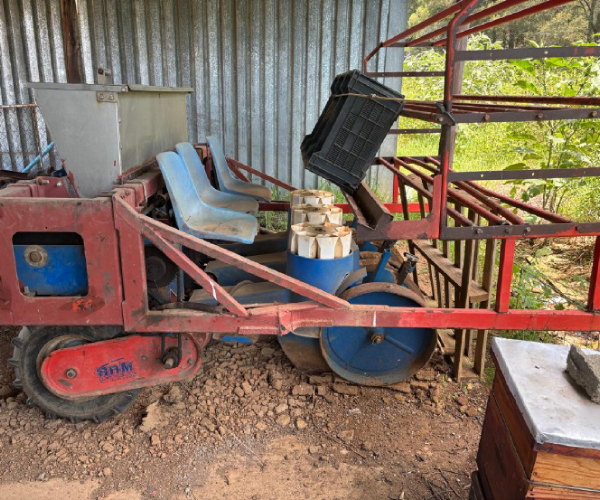 3 Row Ferrari Planter